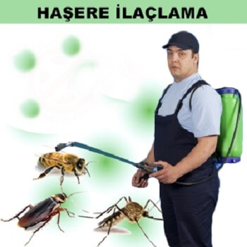 Naldöken Böcek İlaçlama